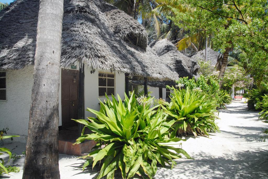 Paradise Beach Bungalows Paje Zewnętrze zdjęcie
